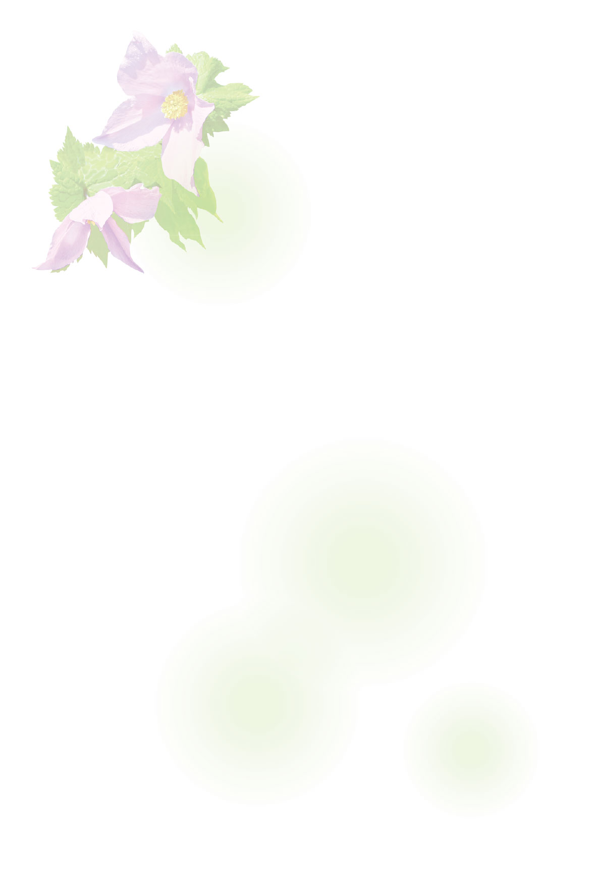 イラストシラネアオイ