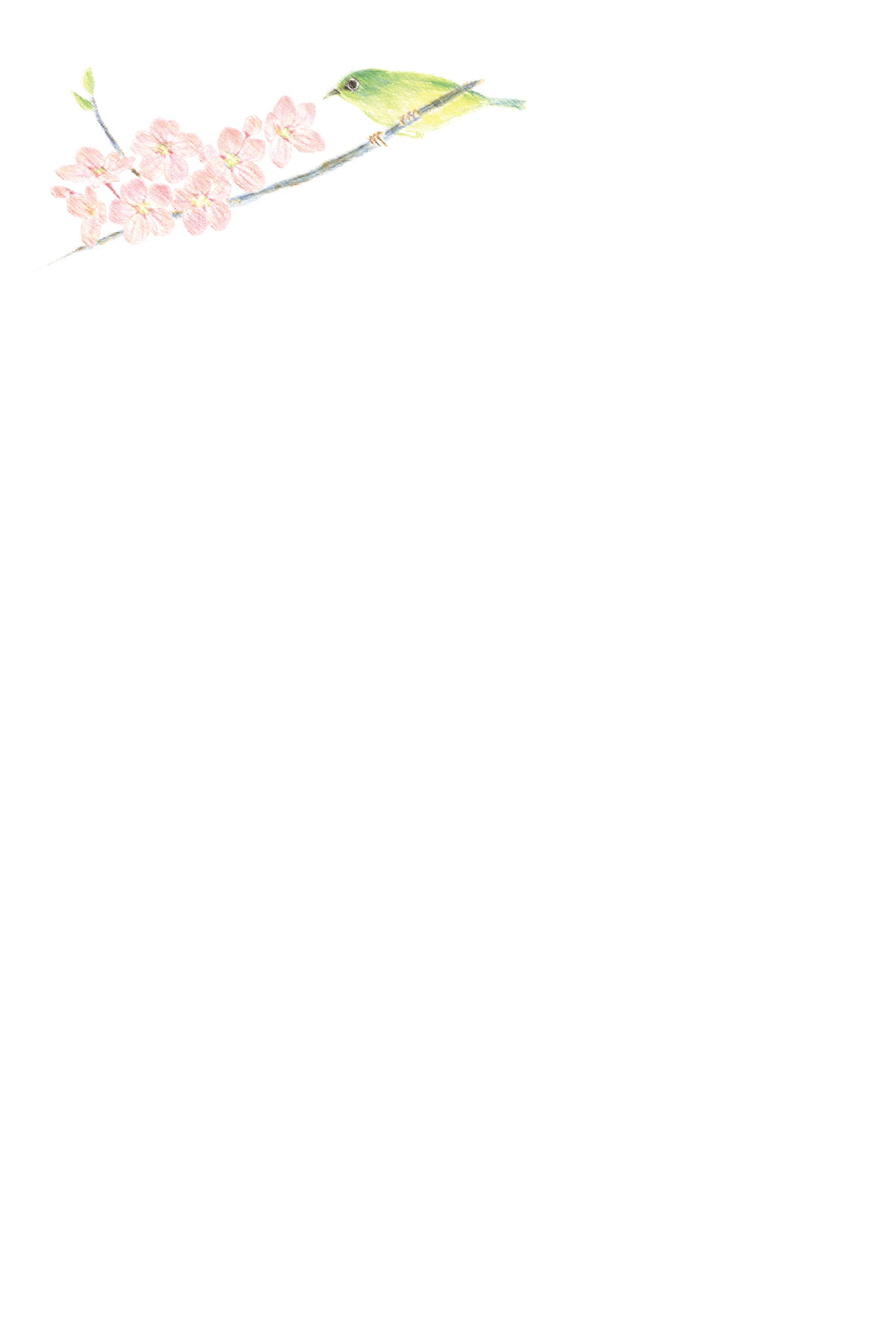 イラストうぐいす